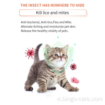 Dầu gội chống gàu chống bọ chét cho mèo Probiotic